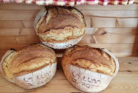 Panificio EcoBiologico La Luna Nel Pozzo